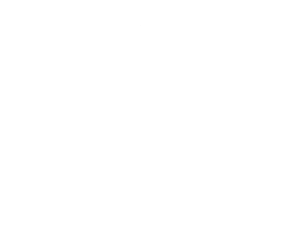 Zannis Plastic Surgery Logo
